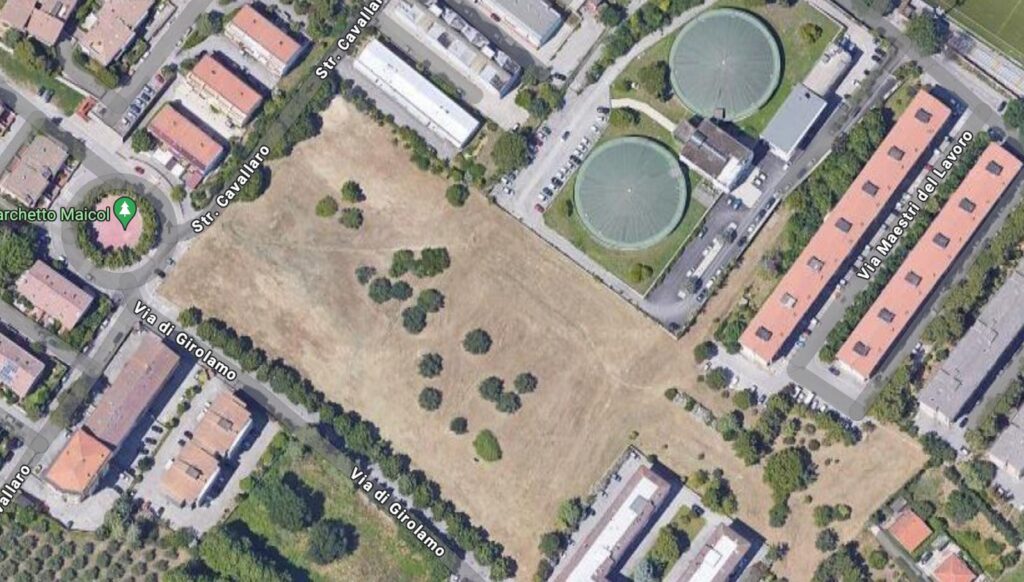 Alberi, bambini e pubblica utilità