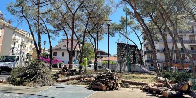COMUNICATO STAMPA 5 Agosto 2024 posti dalla consigliera Barba I TEMI FONDAMENTALI DEL VERDE DA TRATTARE IN COMUNE