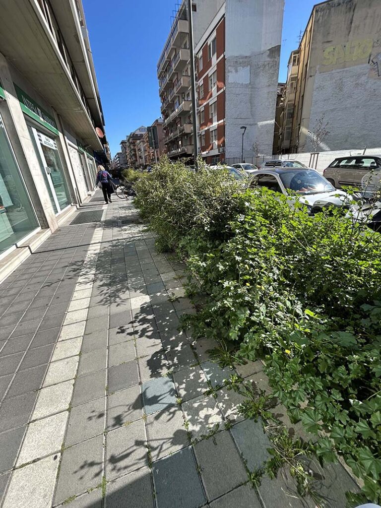 Pianta la Superbia e raccogli Arroganza
