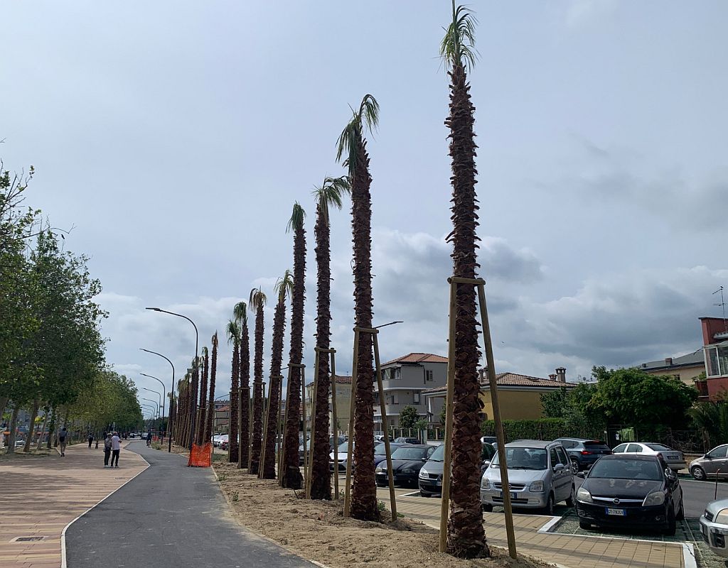 Verde urbano a Pescara: silenzi inaccettabili e scelte discutibili