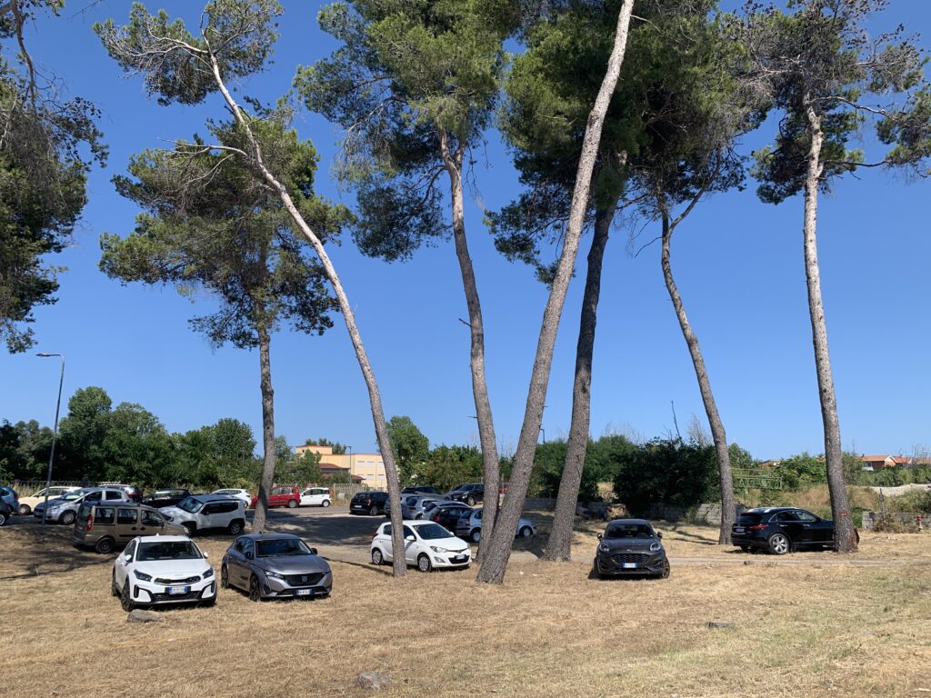 LA RISERVA DANNUNZIANA TRASFORMATA IN UN PARCHEGGIO