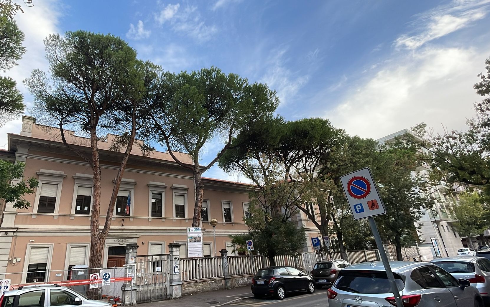 Blocco degli abbattimenti dei Pini storici in Via Italica
