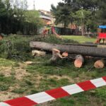 Gestione dei parchi a Pescara: la replica