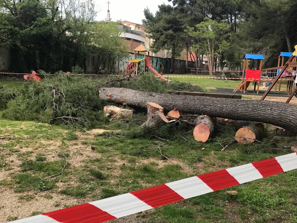 Gestione dei parchi a Pescara: la replica