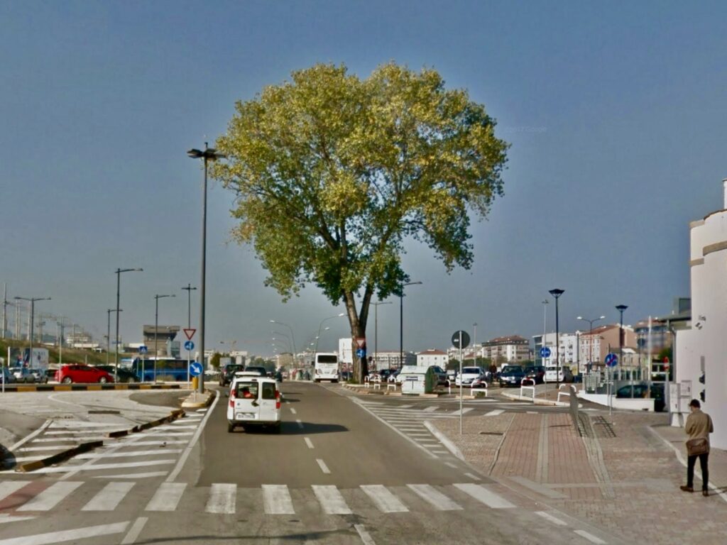 Il verde che salva la vita