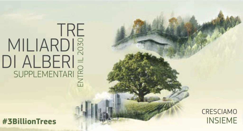 Se 3 miliardi di alberi sembrano tanti