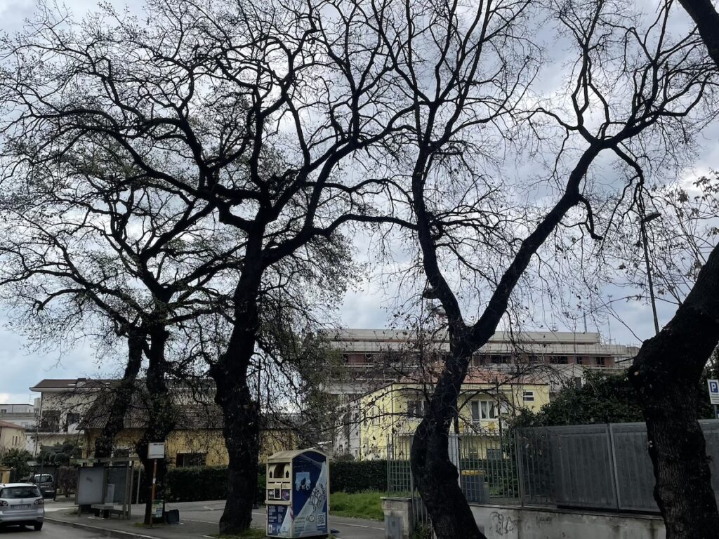 Gestione del verde: è tutto sotto controllo!