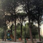 Il Comune non dà i numeri, la cocciniglia li fa!
