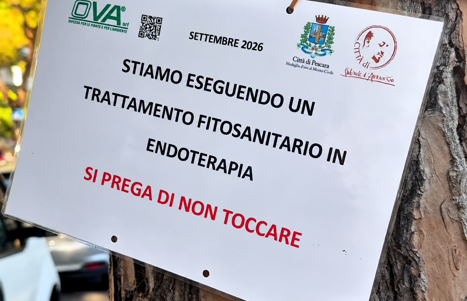 Diffida cocciniglia: servono dati ufficiali, non video social