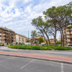 Piazza Salvo D’Acquisto: pini abbattuti e mai sostituiti